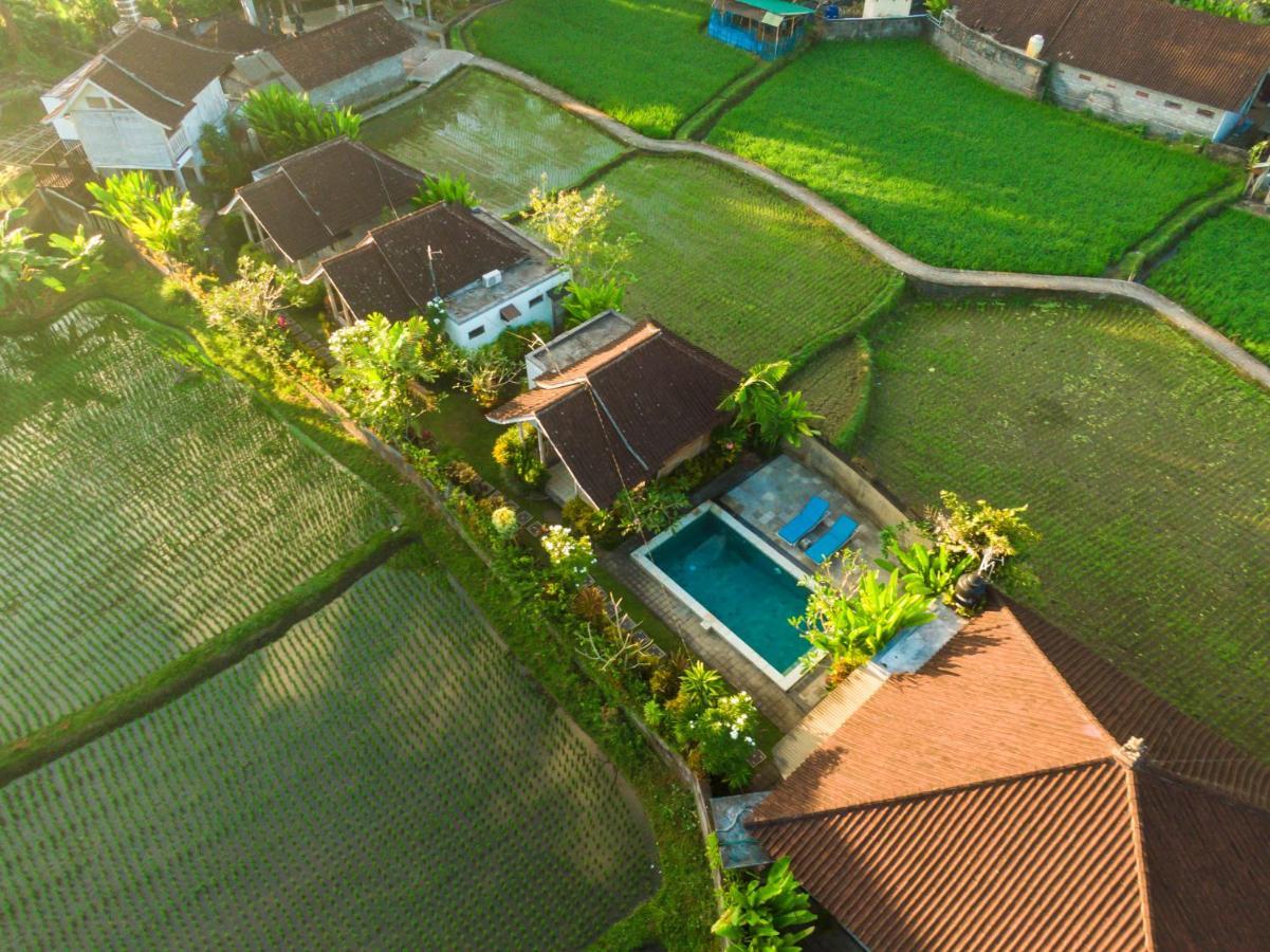 Ubud Glassy Villa By Pramana Villas Экстерьер фото